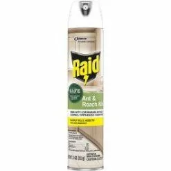 Coleman Raid Ant And Roach Killer, Aerosol Spray