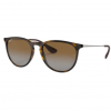 Ray-Ban Sunglasses Ray-Ban Erica Sunglasses