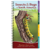 AdventureKEEN Insects & Bugs Of North America