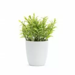 Demdaco Mini Inkberry Faux Plant