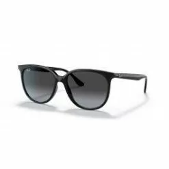 Ray-Ban Sunglasses Ray-Ban RB4378 Sunglasses