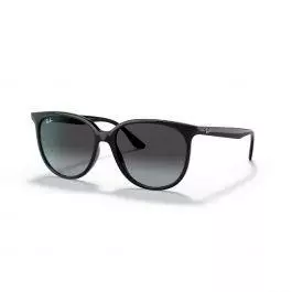 Ray-Ban Sunglasses Ray-Ban RB4378 Sunglasses 1 Ray-Ban Sunglasses Ray-Ban RB4378 Sunglasses